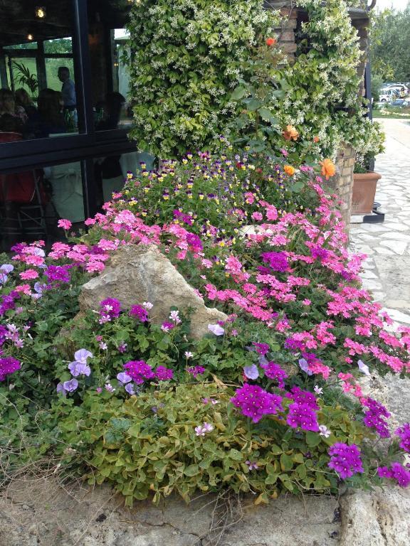 Agriturismo Campo Antico Guest House Orte Bagian luar foto